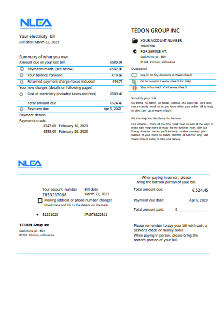 Download National Lithuanian Energy Association utility business bill,  SCR Photoshop template